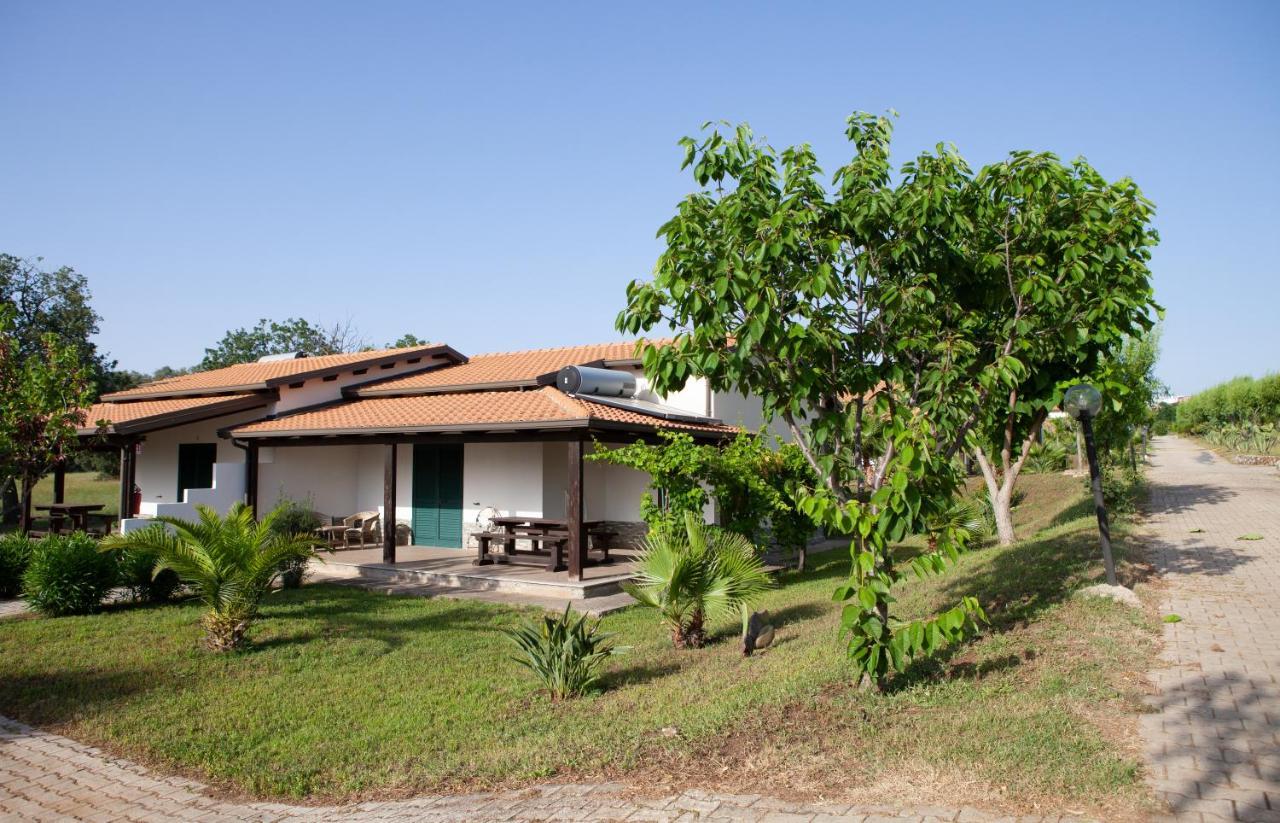 Agriturismo Ninea Ricadi Exteriér fotografie