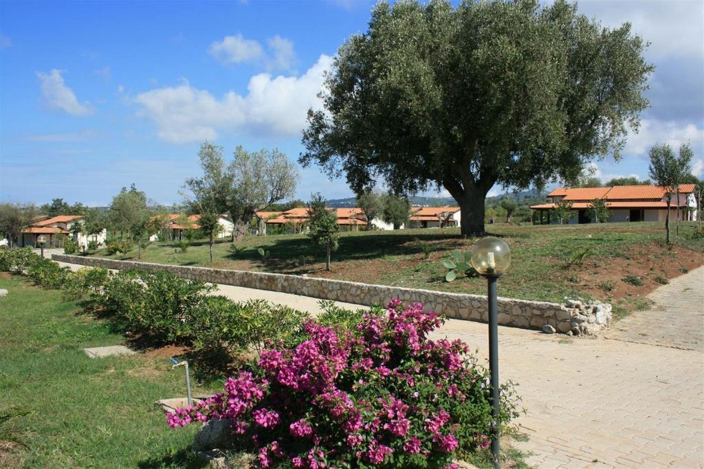 Agriturismo Ninea Ricadi Exteriér fotografie