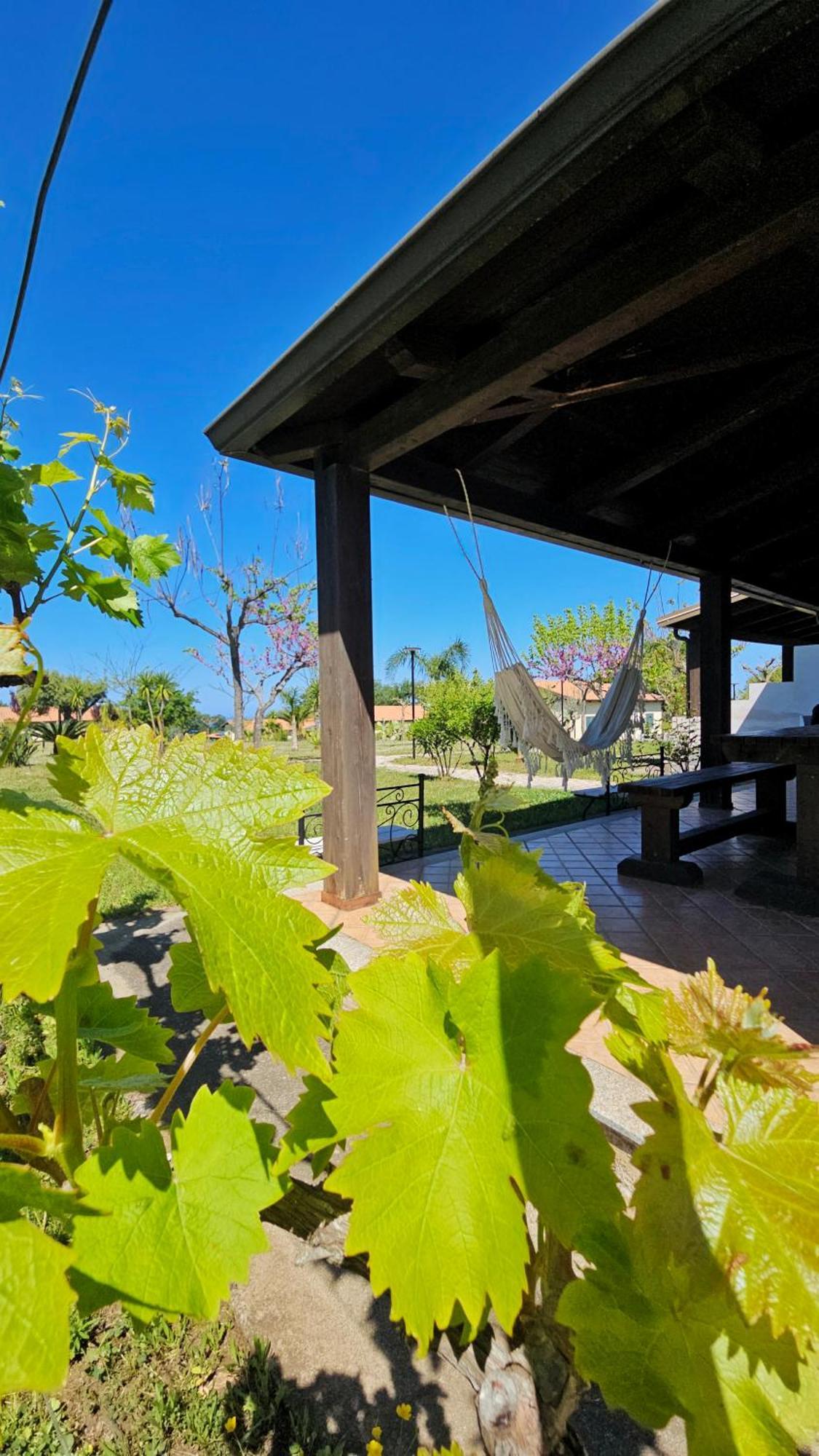 Agriturismo Ninea Ricadi Exteriér fotografie